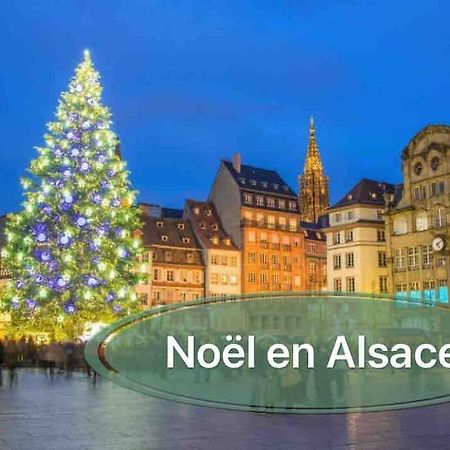 Gite Classe 4 Etoiles  La Maison Du Tonnelier Oberbronn Екстер'єр фото