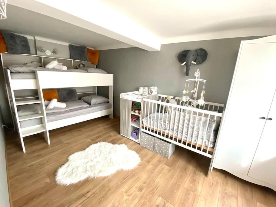Gite Classe 4 Etoiles  La Maison Du Tonnelier Oberbronn Екстер'єр фото