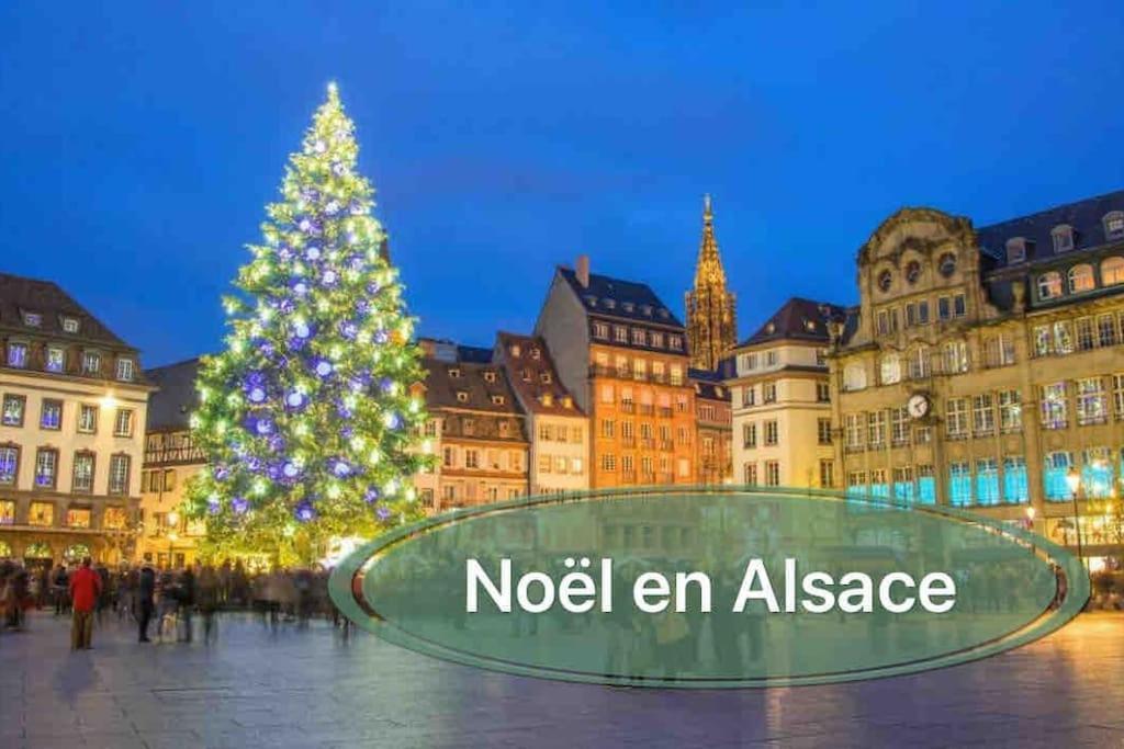 Gite Classe 4 Etoiles  La Maison Du Tonnelier Oberbronn Екстер'єр фото