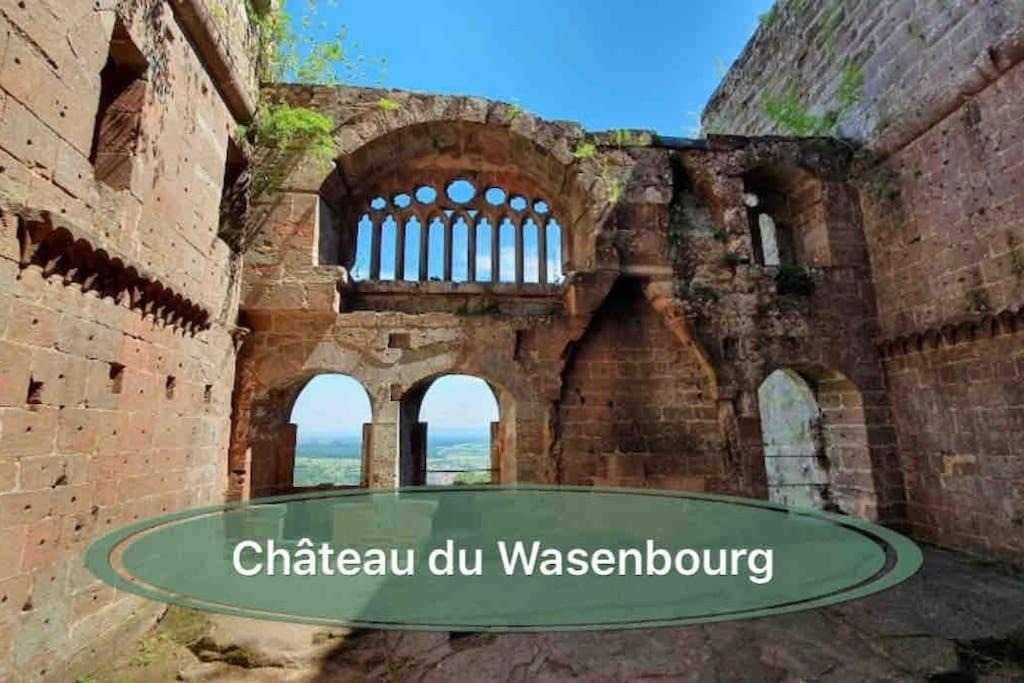 Gite Classe 4 Etoiles  La Maison Du Tonnelier Oberbronn Екстер'єр фото