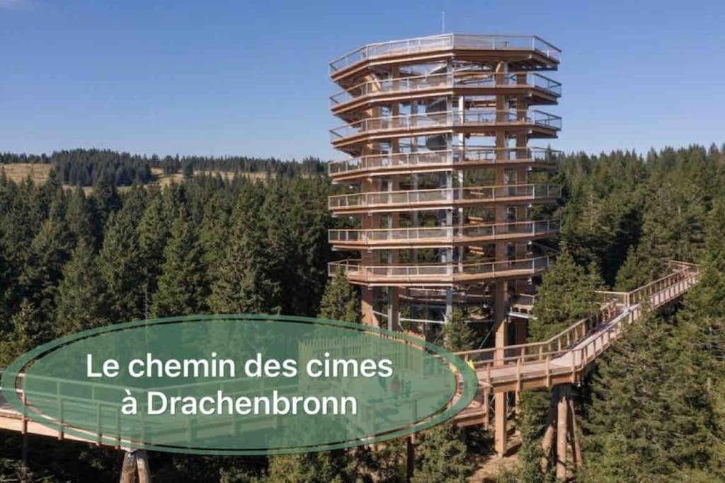 Gite Classe 4 Etoiles  La Maison Du Tonnelier Oberbronn Екстер'єр фото