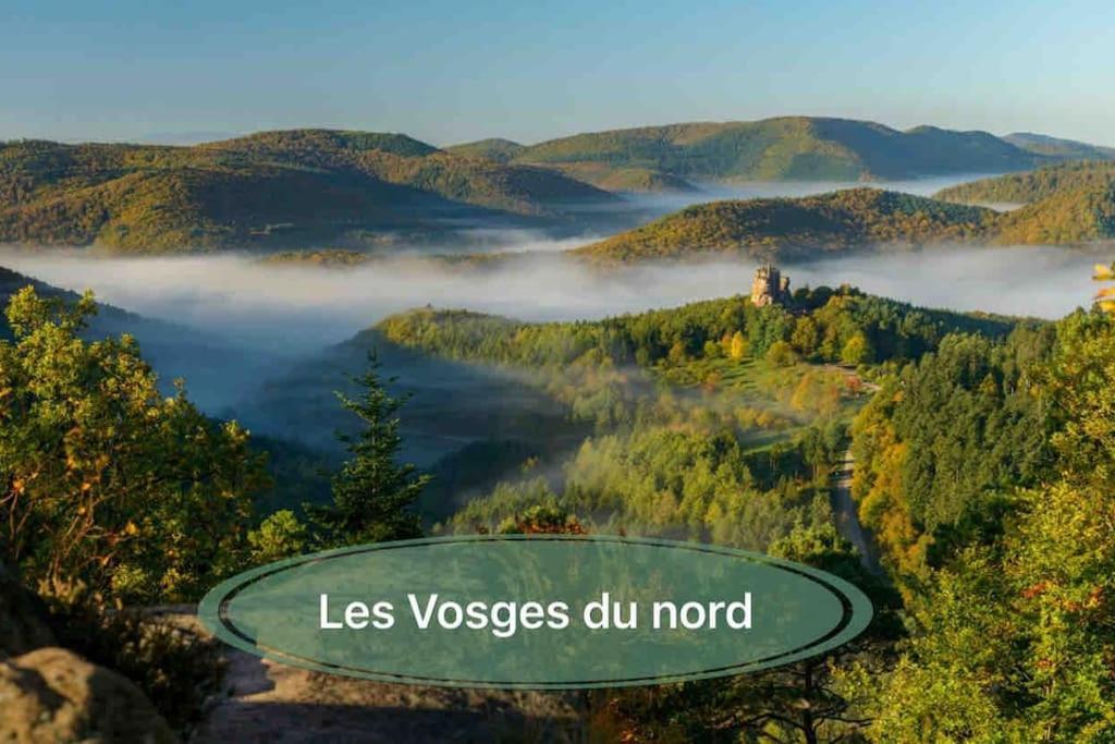 Gite Classe 4 Etoiles  La Maison Du Tonnelier Oberbronn Екстер'єр фото