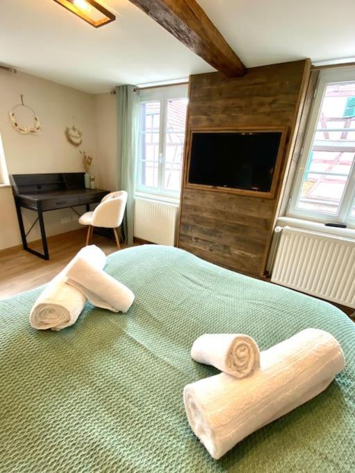 Gite Classe 4 Etoiles  La Maison Du Tonnelier Oberbronn Екстер'єр фото