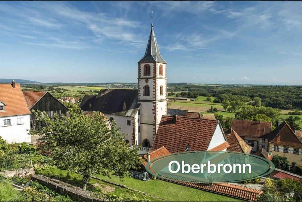 Gite Classe 4 Etoiles  La Maison Du Tonnelier Oberbronn Екстер'єр фото